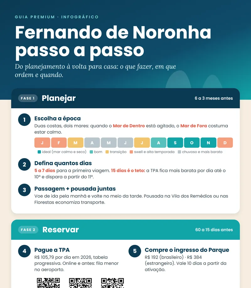 Infográfico passo a passo (PNG e PDF)